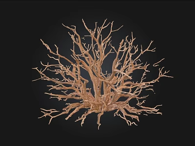 Natural Shrub With Intricate Bare Branches For Garden Landscaping Design 3d model
