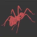 Realistic Detailed 3D Ant Model With Long Legs And Segmented Body