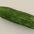 Fresh Green Long Striped Cucumber with Natural Texture as Healthy Vegetable for Daily Diet