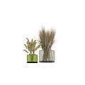 Decorative Ornament Set with Green and Transparent Vases Dried Grasses and Wheat Stems