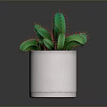 Decorative Green Cactus Plant With Red Thorns In White Textured Pot