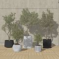 Modern Potted Plants Potted Green Plants Potted Bonsai Plants Combination Plant Pile Indoor Green Plants 3d model