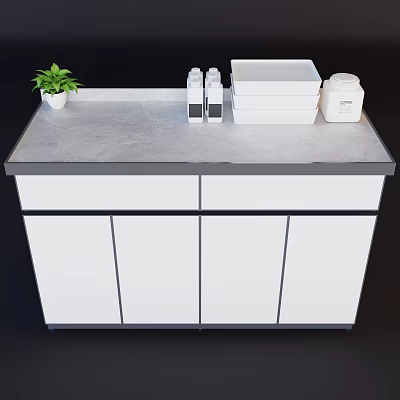 Modern Storage Cabinet With Gray Countertop Green Plant White Bottles Boxes And Container 3d model