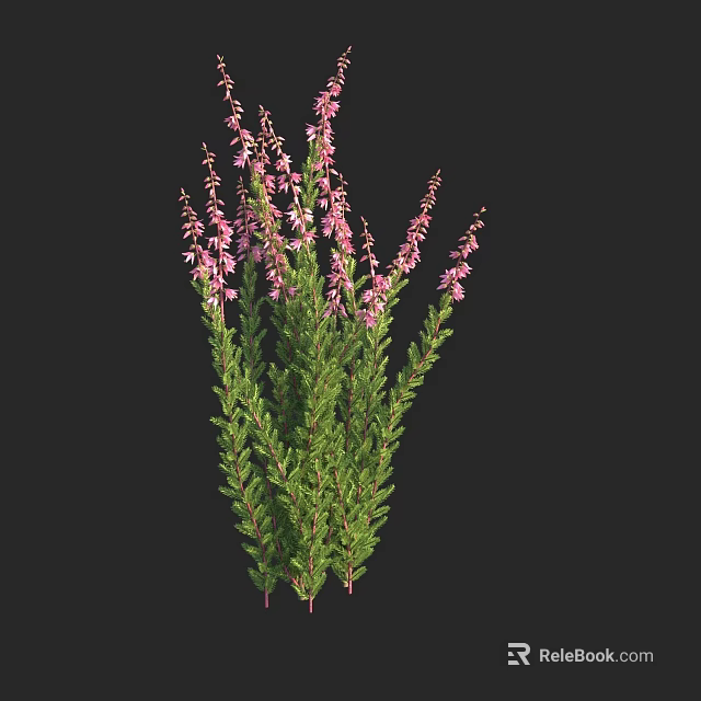 Vibrant Pink Flowering Plants With Green Foliage And Clustered Blooms For Garden Decor 3d model 