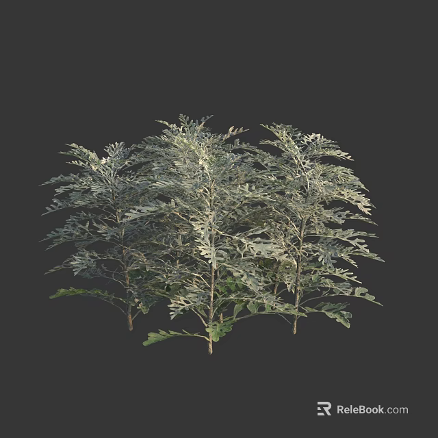 Clustered 3D Model Shrub with Green and White Leaves in Dark Background 3d model 