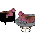 Small Brown Reptiles Resting On Blue Chair And Round White Cushion Mat