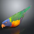 Rainbow Lorikeet With Vibrant Green Blue Yellow Orange Feathers Displaying Colorful Plumage