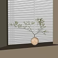White Spherical Vase With Decorative Twigs And Small Black Blossoms On Windowsill Against Window Blinds