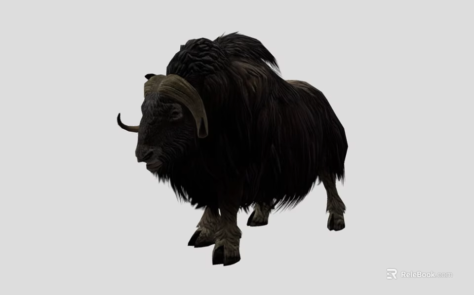 Black Yak With Thick Long Hair And Large Curved Horns On Gray Background 3d model 