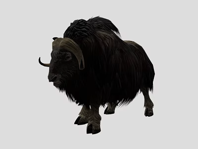 Black Yak With Thick Long Hair And Large Curved Horns On Gray Background 3d model
