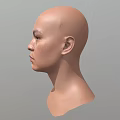 Human Head Male Head Male Head Face Middle-aged Male Head Asian Head Low Face Number Low Model Simple Model Game Video Level Super Realistic High Precision 3d model