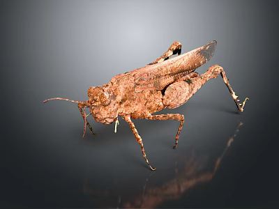 Detailed Brown Locust Toy Model With Wings Legs On Dark Reflective Background 3d model