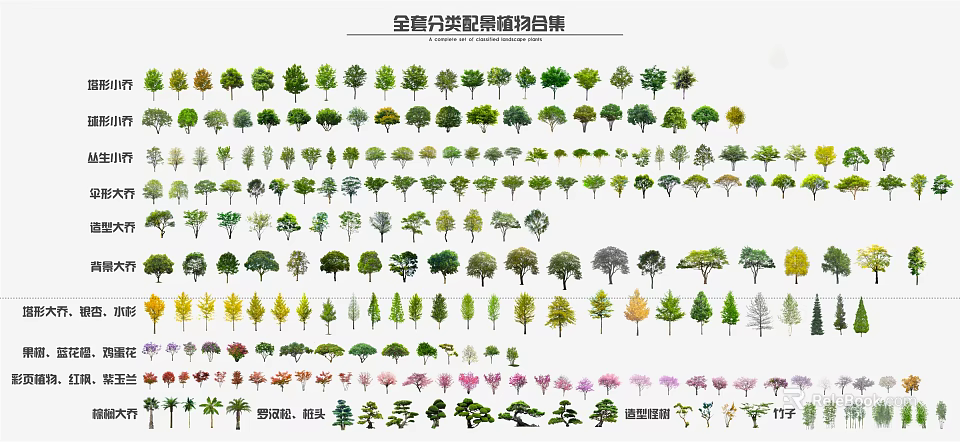 Categorized Landscape Trees Collection Featuring Different Species For Garden Design 3d model 