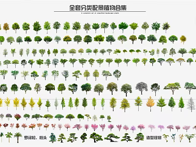 Categorized Landscape Trees Collection Featuring Different Species For Garden Design 3d model