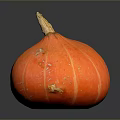 Fresh Ripe Orange Striped Pumpkin With Green Stem On Dark Background