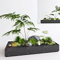 Indoor Landscape Design With Rectangular Planter Large Green Plants Small Stones And Moss 3d model