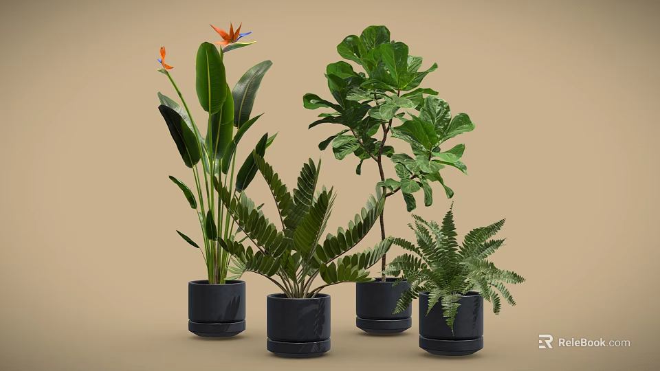 Various Types of Potted Plants with Green Leaves and Orange Flower in Black Pots 3d model 