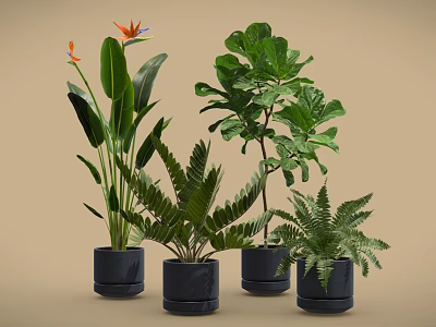 Various Types of Potted Plants with Green Leaves and Orange Flower in Black Pots 3d model