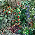 Living Plant Wall with Colorful Red Purple Flowers and Various Green Foliage