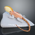 Orange and White Spotted Lizard with Yellow Head Structure on White Rock Against Dark Background