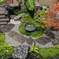 Natural Courtyard Garden Design With Stone Steps Circular Water Basin Red Maple Tree And Ferns