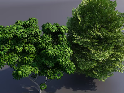 Lush Green Arbor with Dense Foliage and Vibrant Leaves in Natural Garden Landscape 3d model