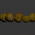 Fresh Kiwano Fruits Whole and Halved with Spiky Exterior and Green Flesh on Dark Background