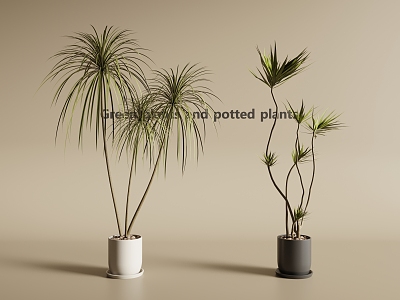 potted plant green plant potted plant green plant 3d model