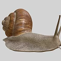 Reptile On Grey Background With Brown Shell Grey Body And Two Antennae