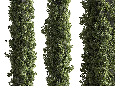 Tall Columns Covered With Lush Green Vines And Foliage Design Ideas 3d model