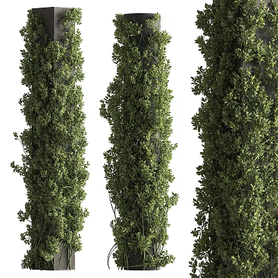 Tall Columns Covered With Lush Green Vines And Foliage Design Ideas 3d model