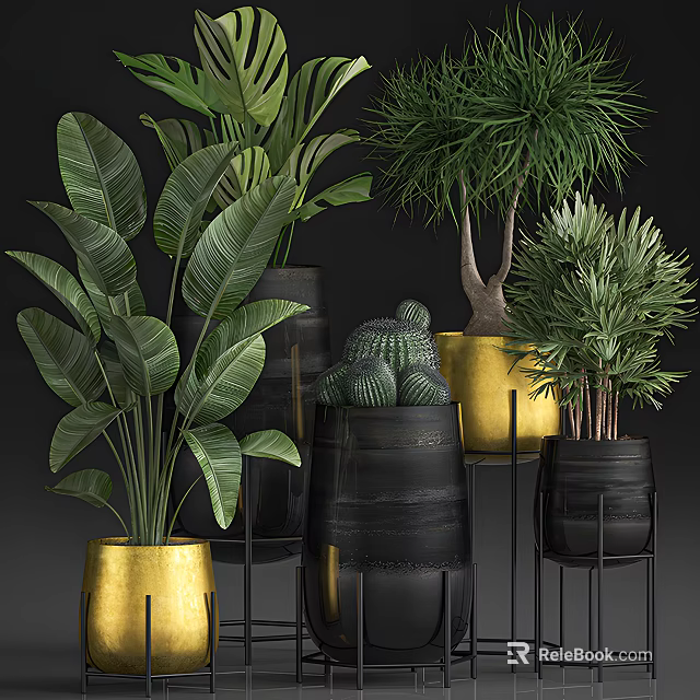 Various Bonsai and Potted Plants in Black and Gold Pots on Metal Stands 3d model 