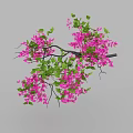 Lush Arbor with Vibrant Pink Flowers and Fresh Green Leaves on Branches