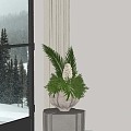 Modern Green Plant Bonsai 3d model