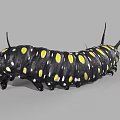 Vibrant Reptile With Black Body And Yellow Spots Long Antennae On Gray Surface