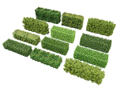 Green Hedge Plants With Various Shapes And Well Trimmed Foliage For Garden Landscaping 3d model