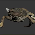 Lizard Anime Lizard Chameleon Cartoon Lizard Reptile Cold Blooded Animal Reptile Class 3d model