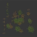 Beautiful Green and Brown Ferns in Multiple Clusters on Black Background