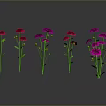 Vibrant Red And Purple Flowers With Green Stems And Leaves On Reflective Dark Surface
