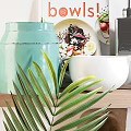 Assorted Kitchenware Collection With Mugs Bowls Spatulas And Teapot On Shelf