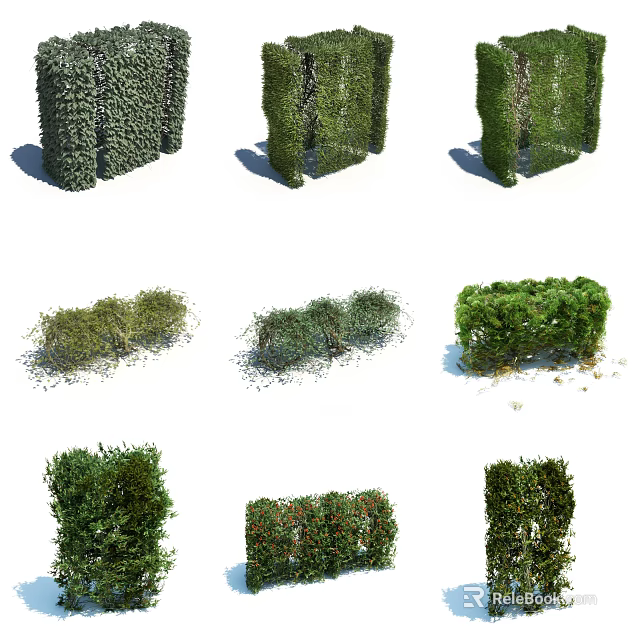 Various Types of Garden Shrubs with Trimmed and Natural Shapes for Landscaping 3d model 