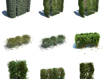 Various Types of Garden Shrubs with Trimmed and Natural Shapes for Landscaping 3d model