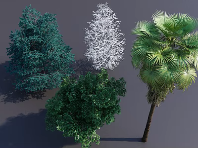 Collection of Various Trees Including Green Foliage White Textured and Palm Species 3d model