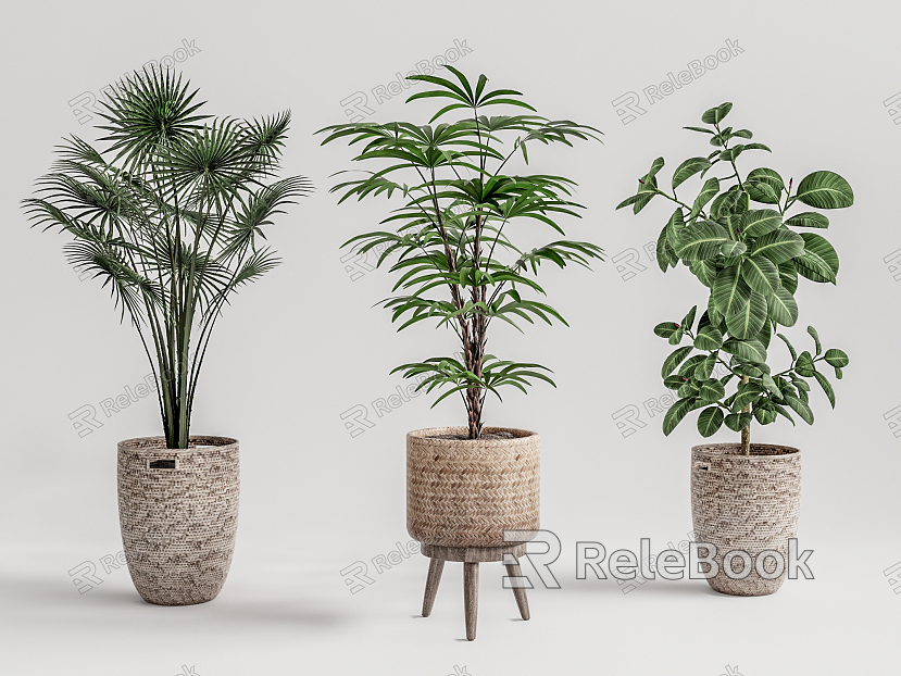 Modern Potted Plant model