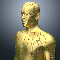 Man Golden 3D Anatomical Model With Front And Back Views And Markers
