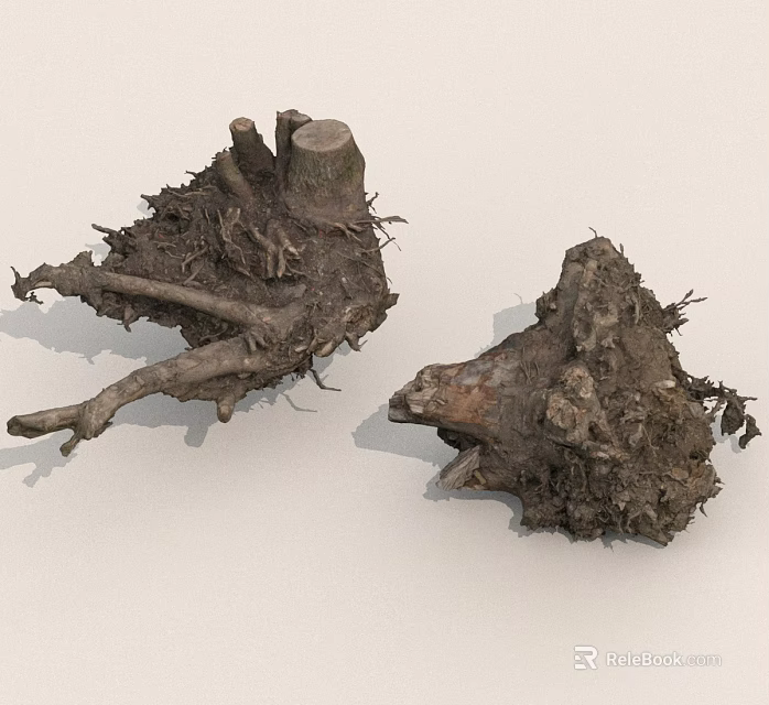 Natural Tree Roots With Soil And Twisted Branches On White Background 3d model