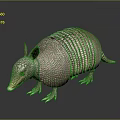 Armadillo With Scaly Armor Long Snout And Small Claws On Dark Surface