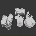 Diverse Succulent Plant Varieties in Ceramic Wooden and Woven Containers for Decor