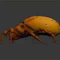 3D Rendered Orange Mite with Many Legs and Spikes on Dark Background Showing Reflection