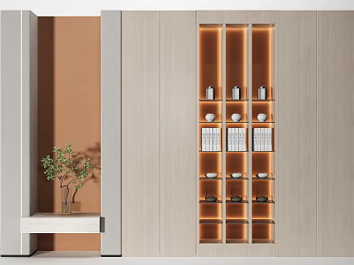 Modern Display Cabinet With Built in Lighting And Shelves For Interior Home Decor 3d model